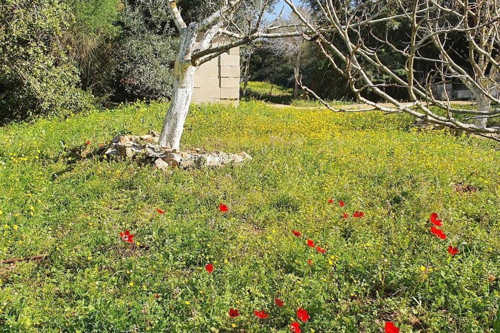 הבית ליד הבוסתן Mikhmannim Exteriör bild