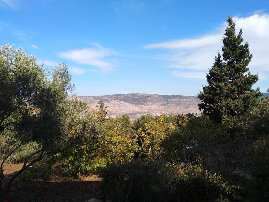 הבית ליד הבוסתן Mikhmannim Exteriör bild