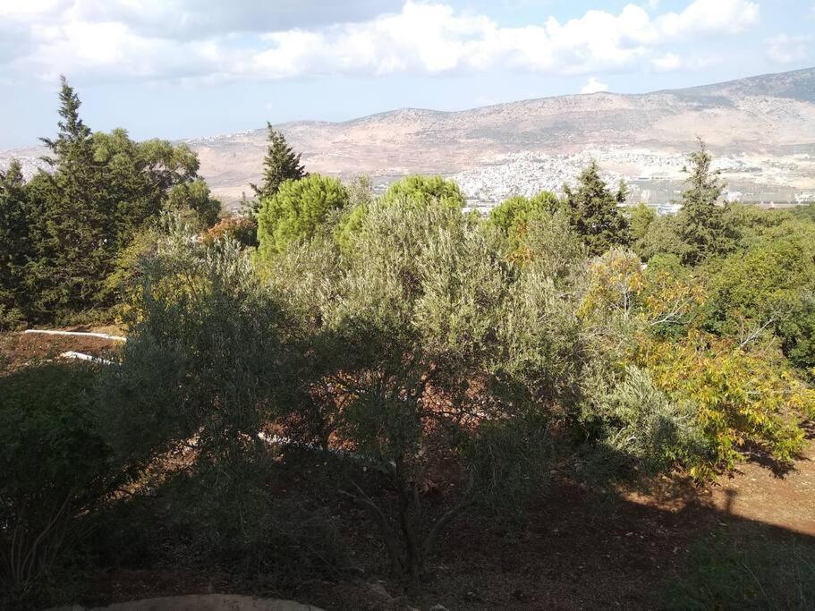 הבית ליד הבוסתן Mikhmannim Exteriör bild