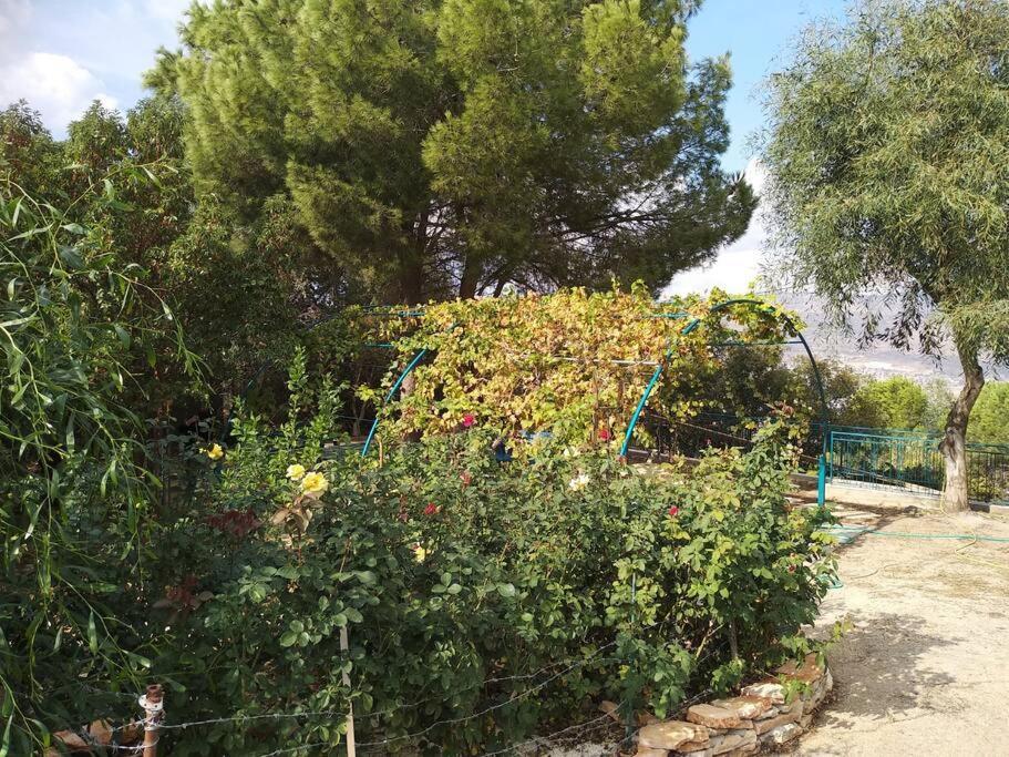הבית ליד הבוסתן Mikhmannim Exteriör bild